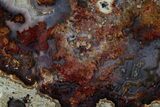 Colorful, Polished Agate Slab -Big Dig Site, New Mexico #228152-1